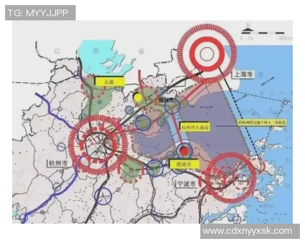 深入剖析杭州排球队近期状态表现与未来发展趋势